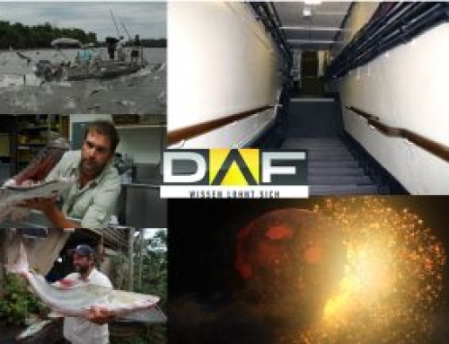 Die DAF-Highlights vom 06. bis zum 12. April 2015